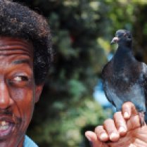 man with pigeon