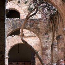 tree and arch